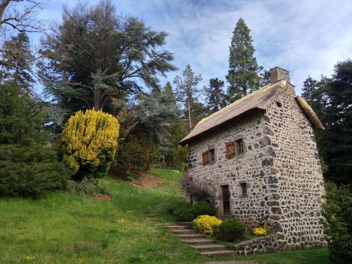 Studio Au Coeur Des Volcans D Auvergne - Murol Luaran gambar